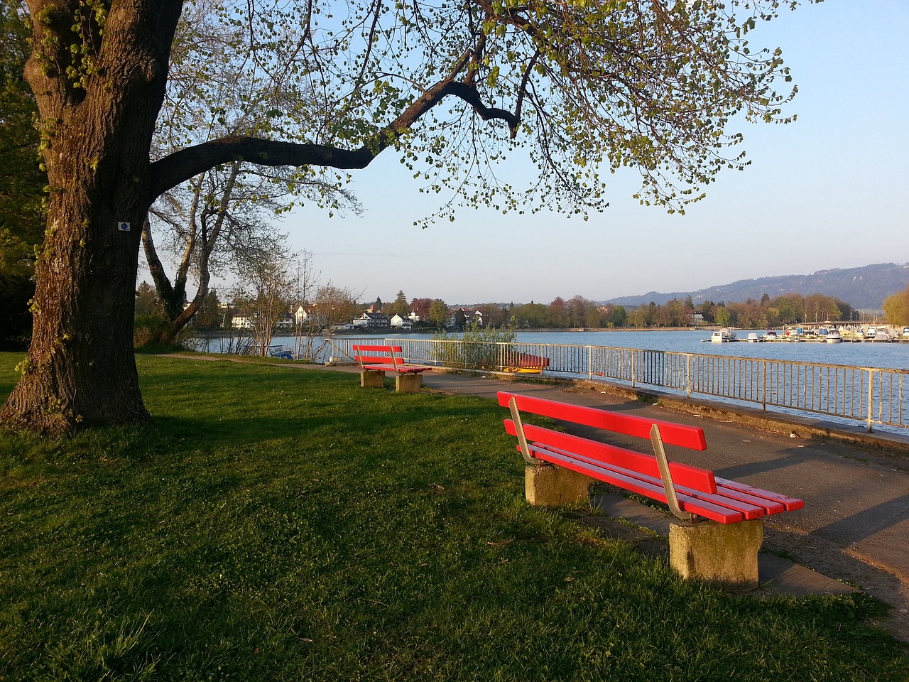 人在泰国羽 人在泰国羽