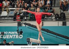 运动员提供 运动员提供