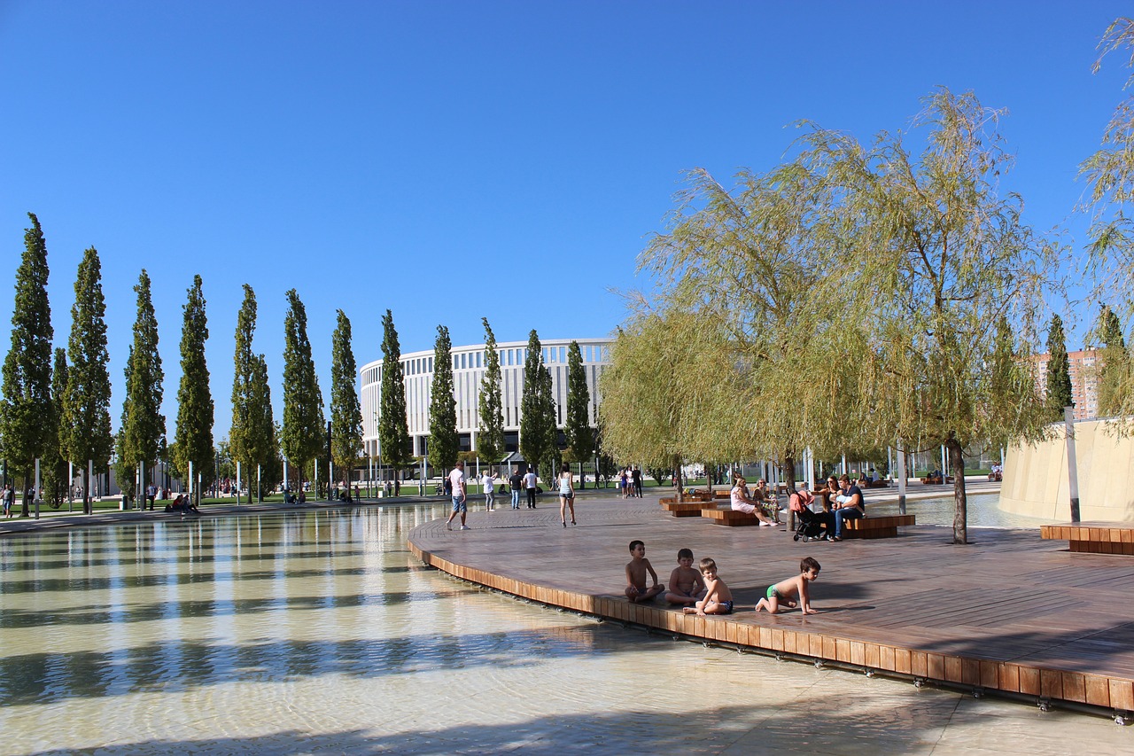 的明星球员 的明星球员