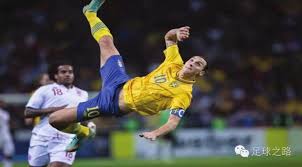 生活方式 生活方式