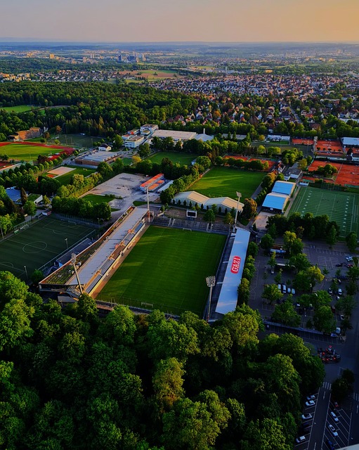 年轻球员的 年轻球员的