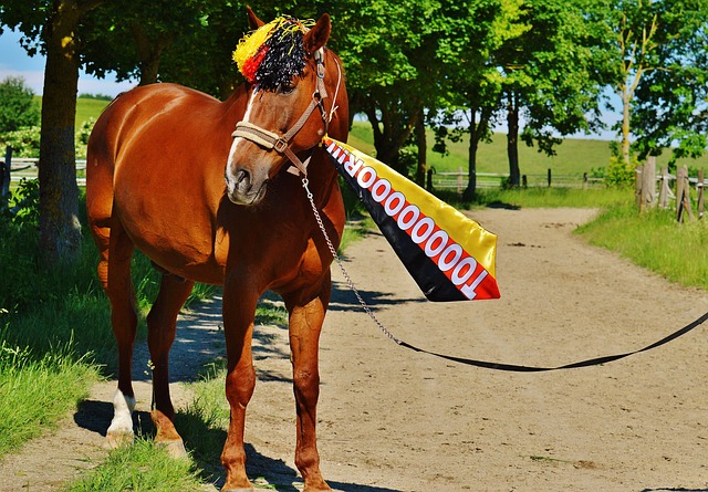 一步坐穩強 一步坐穩強
