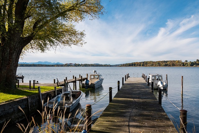 穩定的發揮 穩定的發揮